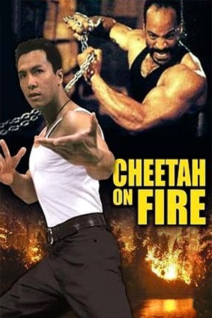 Cheetah on Fire 1992 Hindi Dual Audio 480p Web-DL 290MB