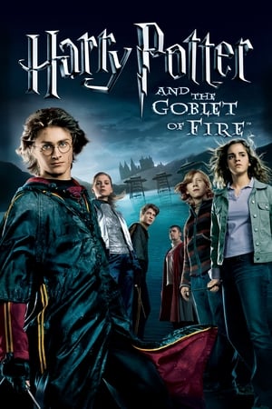 Harry Potter and the Goblet of Fire 2005 Hindi Dubbed Bluray 720p [1.0GB] Download Movie Poster