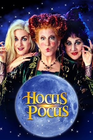 Hocus Pocus 1993 Hindi Dual Audio 480p BluRay 320MB Movie Poster