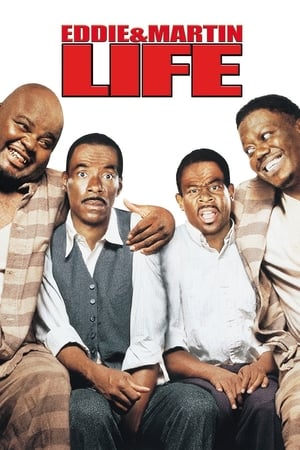 Life (1999) Movie Hindi Dual Audio 1080p BluRay [2GB]