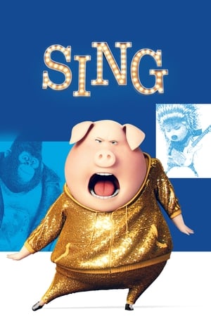 Sing (2016) Hindi Dual Audio 720p BluRay [860MB] Movie Poster